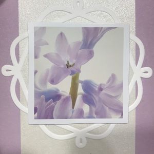 Meet your Posher, Desiree